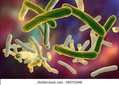 3D Illustration Of Bacteria Mycobacterium Tuberculosis