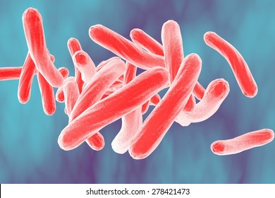 3D Illustration Of Bacterium Mycobacterium Tuberculosis