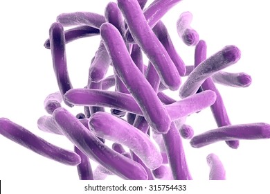 3D Illustration Of Bacterium Mycobacterium Tuberculosis