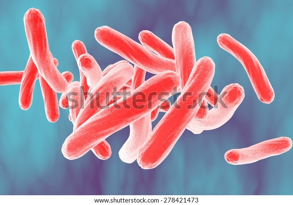 3D\
illustration of bacterium Mycobacterium\
tuberculosis
