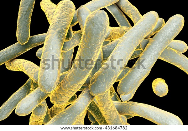 3D\
illustration of bacterium Mycobacterium tuberculosis isolated on\
black background, Bacterium which causes\
tuberculosis