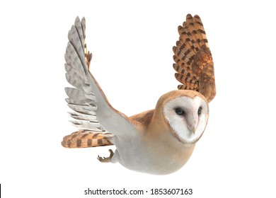 1,976 3d owl Images, Stock Photos & Vectors | Shutterstock