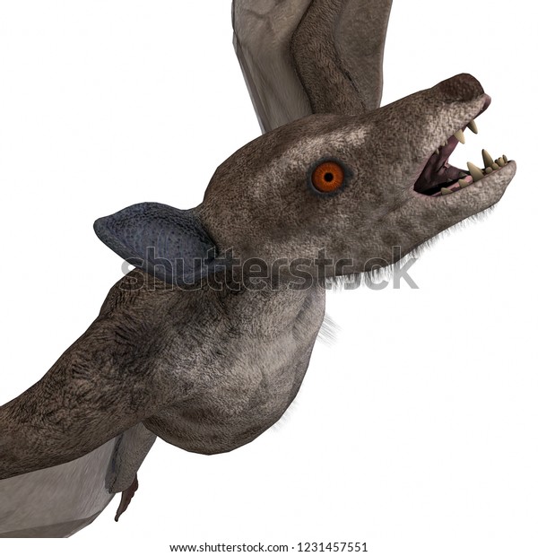 dinosaur bat