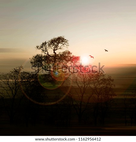 Similar – 700 X released to freedom|tree silhouette in foreground, red hot air balloon floating in evening sky