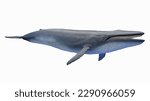 3d illustration of a blue whale. plain white background. professional studio lighting. lateral view