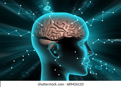 3d illustration of Brain development concept