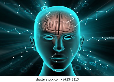 3d illustration of Brain development concept