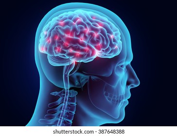 3D illustration brain nervous system active, medical concept.