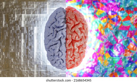 A 3D Illustration Of A Brain That Is Half Digital And Half Analog 