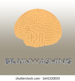 3D illustration of BRAINWASHING script under a human brain
