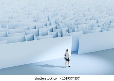 3d illustration of a business woman at the maze