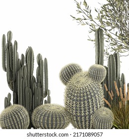 3D Illustration Cactus Collection In A Concrete Flowerpot