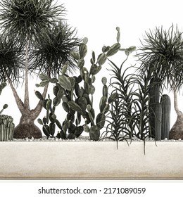 3D Illustration Cactus Collection In A Concrete Flowerpot