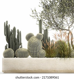 3D Illustration Cactus Collection In A Concrete Flowerpot