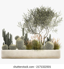 3D Illustration Cactus Collection In A Concrete Flowerpot