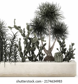 3D Illustration Cactus Collection In A Concrete Flowerpot