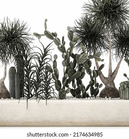 3D Illustration Cactus Collection In A Concrete Flowerpot