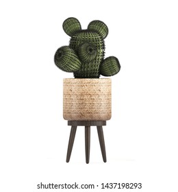 3d Illustration Of Cactus In Pots, Rattan Basket