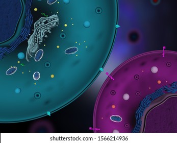 3d Illustration Of A CAR T Cell Interacting With A Cancer Cell Through CAR T Receptors