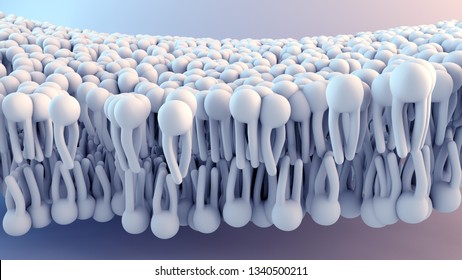3d illustration Cell Membrane structure in motion
