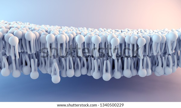 3d\
illustration Cell Membrane structure in\
motion