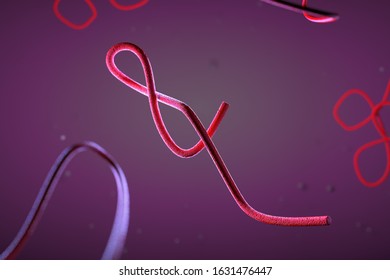 3d illustration, close up of microscope Ebola Virus