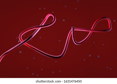 3d illustration, close up of microscope Ebola Virus