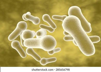 3D Illustration Of Clostridium Bacteria Which Causes Tetanus, Botulism, Gas Gangrene And Wound Infection