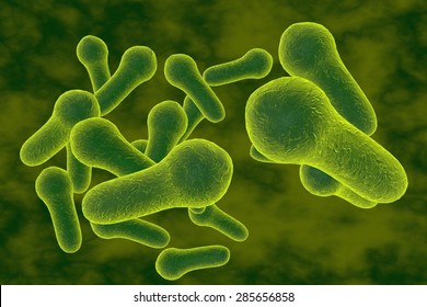 3D Illustration Of Clostridium Bacteria Which Causes Tetanus, Botulism, Gas Gangrene And Wound Infection