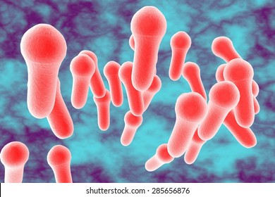 3D Illustration Of Clostridium Bacteria Which Causes Tetanus, Botulism, Gas Gangrene And Wound Infection