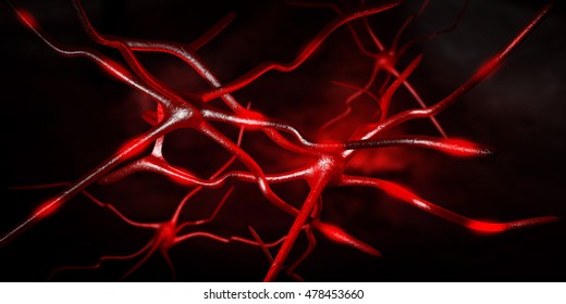 3d Illustration Computer artwork of nerve cells