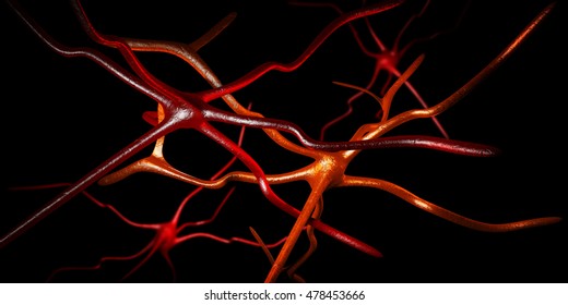 3d Illustration Computer artwork of nerve cells