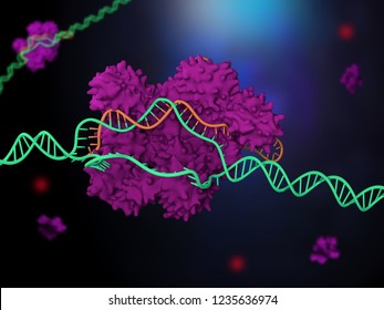 3d illustration of CRISPR-Cas9 genome editing system