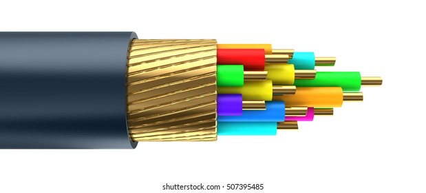 3d Illustration Of Data Cable Inside Structure, Isolated Over White