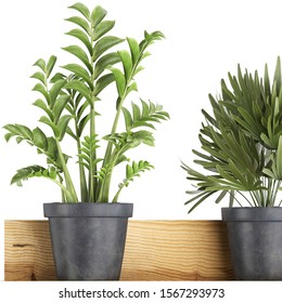 3D illustration of decorative flowers in pots on a shelf - Shutterstock ID 1567293973
