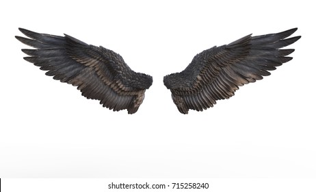 3d Illustration Demon Wings, Black Wing Plumage Isolated on White Background