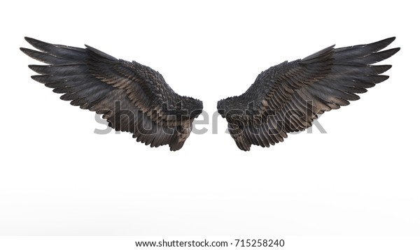 白い背景に黒い羽毛の3dイラストの鬼の翼 のイラスト素材 715258240
