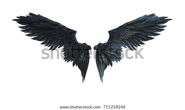 白い背景に黒い羽毛の3dイラストの鬼の翼 のイラスト素材 715258246