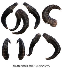 3d Illustration Of Devil Animal Horn And Horns