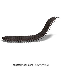 3D Illustration Of A Dinosaur Centipede Arthropleura Over White