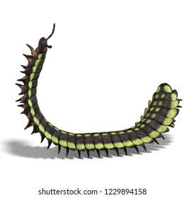 3D Illustration Of A Dinosaur Centipede Arthropleura Over White