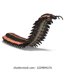 3D Illustration Of A Dinosaur Centipede Arthropleura Over White