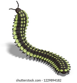 3D Illustration Of A Dinosaur Centipede Arthropleura Over White