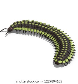 3D Illustration Of A Dinosaur Centipede Arthropleura Over White