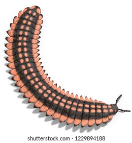 3D Illustration Of A Dinosaur Centipede Arthropleura Over White