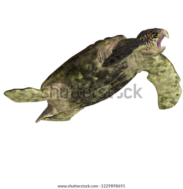 3d Illustration Dinosaur Turtle Archelon Over Stock Illustration