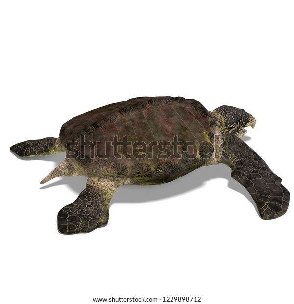 3d Illustration Dinosaur Turtle Archelon Over Stock Illustration