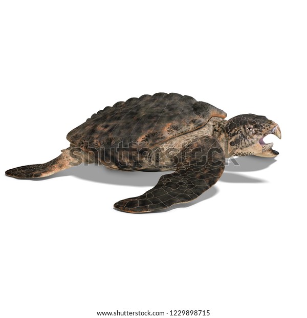 3d Illustration Dinosaur Turtle Archelon Over Stock Illustration