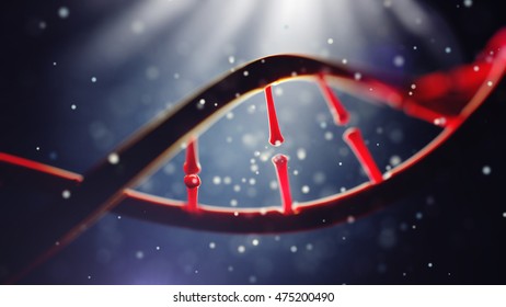 3d Illustration Of DNA Molecule. Closeup Of Concept Human Genome.