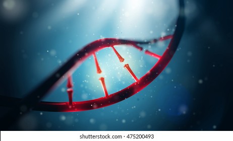 3d Illustration Of DNA Molecule. Closeup Of Concept Human Genome.